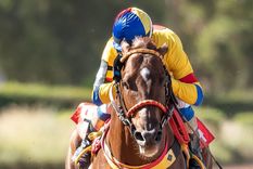 Furioso de Acero y el jockey brasileño José Eliezer Alves Silveyra fueron los ganadores de la jornada de ayer en Mendoza. Foto: Foto gentileza José Maluf