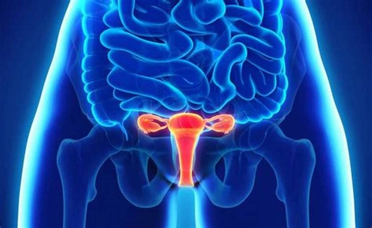 Aunque puede ser una enfermedad muy dolorosa y debilitante, a menudo se tarda años en diagnosticarla. Foto: Archivo MDZ