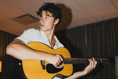 El joven artista Shawn Mendes ha generado una fortuna por sus múltiples shows.