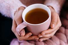 Foto: Ph Shutterstock