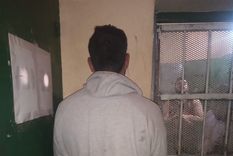 El sospechoso en el momento de ser detenido. Tiene sólo 20 años