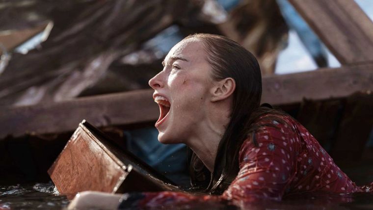 Toda la información sobre la mejor película de la N Roja en la actualidad. / Netflix