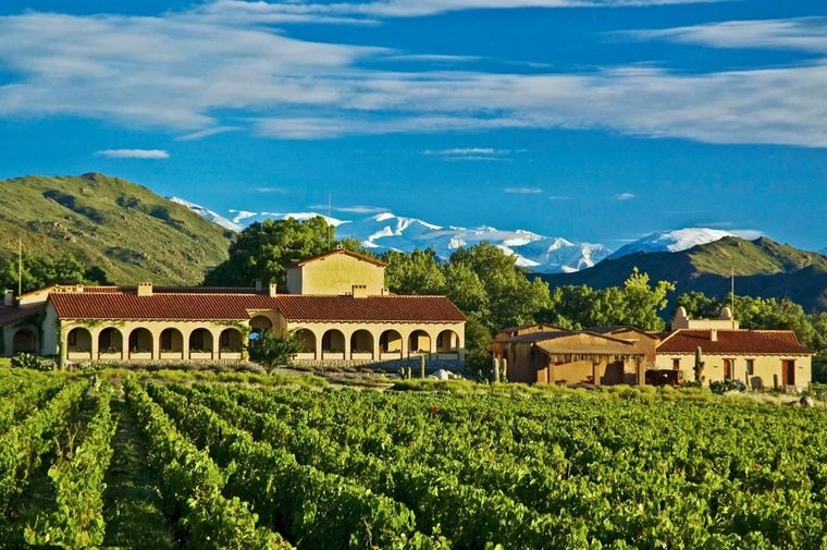 Bodega Colomé.