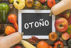 Foto: Freepik Foto de Marco creado por freepik - www.freepik.es