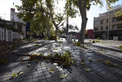 MDZol | El cambio de temperatura y de presión barométrica debido al viento Zonda afecta a las vías respiratorias. Foto: Maximiliano Ríos/MDZ