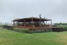 Una imagen de Cheval des Andes. Foto: Gentileza