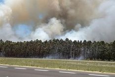 por la sequia, una provincia podria perder gran parte de sus cultivos