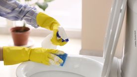 Es importante una limpieza correcta. Foto: Shutterstock Es importante una limpieza correcta. Foto: Shutterstock