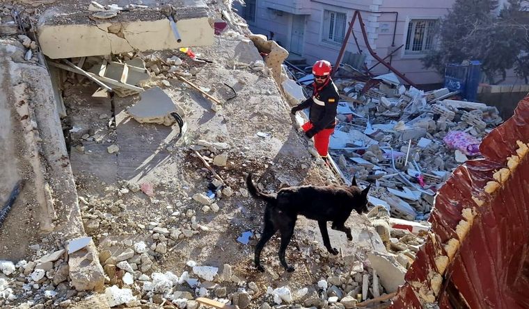 Siguen apareciendo personas con vida. Foto: Efe.