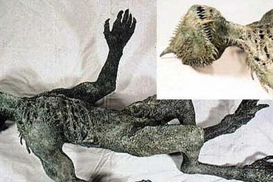 MDZol | Foto: mitos.com