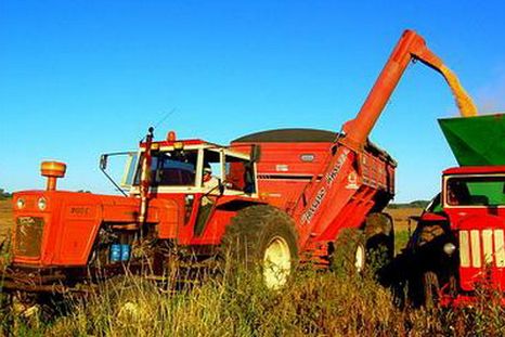 La actividad agroindustrial sumó movimiento económico en casi todo el país. Foto: Flickr La actividad agroindustrial sumó movimiento económico en casi todo el país. Foto: Flickr
