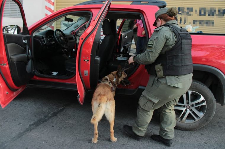 El can fue trascendental en la detección de los estupefacientes. Foto: Gendarmería Nacional
