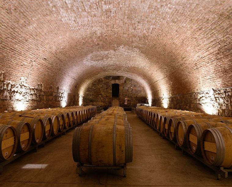 El Espacio Arizu tendrá su ciudad del vino. Gentileza. El Espacio Arizu tendrá su ciudad del vino. Gentileza.