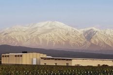 Bodegas Doña Paula.