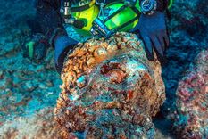 El hallazgo está siendo estudiado. Foto: Vice. El hallazgo está siendo estudiado. Foto: Vice.