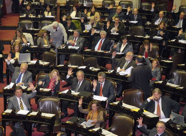 El proyecto de Ley se encuentra empantanado en la Legislatura Foto: NA