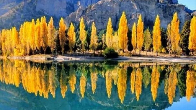 Tenemos todos los recursos naturales: los climas, los paisajes y las fuentes de energía fósiles y renovables. Foto: MDZ