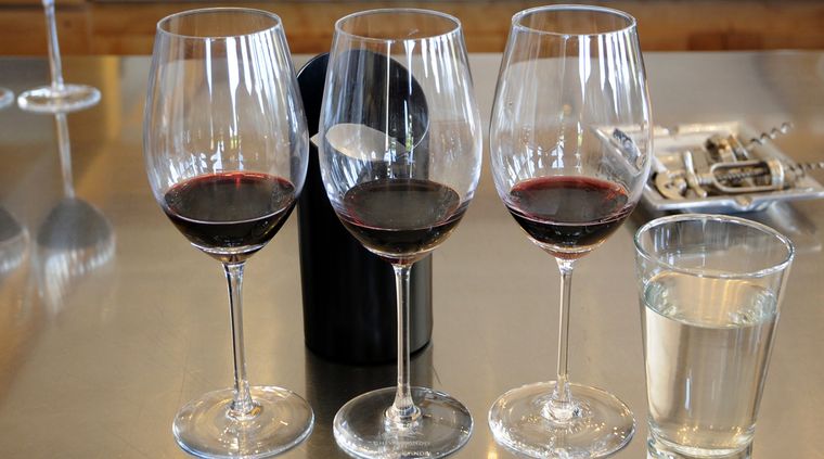 Tres tintos en Qatar 2022 Foto: ALF PONCE MERCADO / MDZ