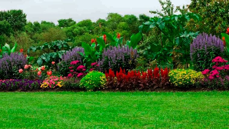 Hacer una pared viva “mixta” es una de las alternativas para darle vida al cerco que limita una propiedad con otra. Foto: familyhandyman.com