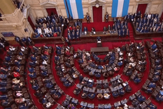 El Congreso se pondrá en movimiento tras un proyecto que buscará enviar el Gobierno.&nbsp;