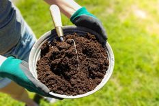 Luis Canziani, especialista en plantas, explicó como preparar un buen suelo para nuestras plantas que nos ayude a resguardarlas del calor. Foto: Hogarmanía