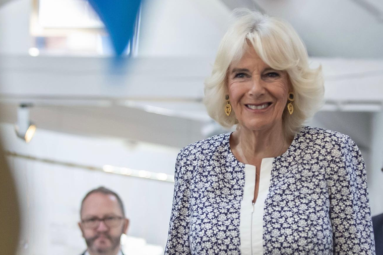 Esta fue la increíble razón por la que la reina Camilla se negó a cobrar un importante sueldo público. Foto: INSTAGRAM @THEROYALFAMILY