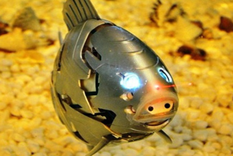 Científicos crearon peces robot que comen microplásticos para limpiar los océanos
