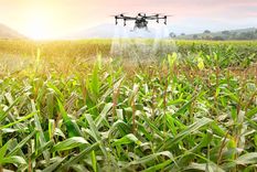 La experiencia tecnológica y el enfoque sostenible son pilares clave en la inserción de los servicios tecnológicos locales de cara al mercado europeo. Foto: Shutterstock