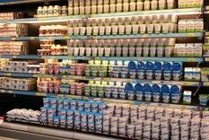 Foto: ALF PONCE MERCADO / MDZ