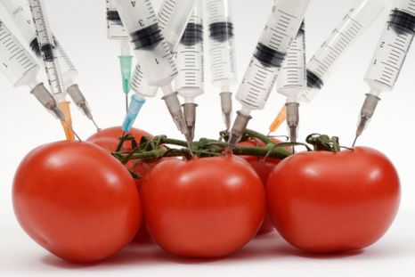 Estudian posibles efectos cancerígenos de transgénicos
