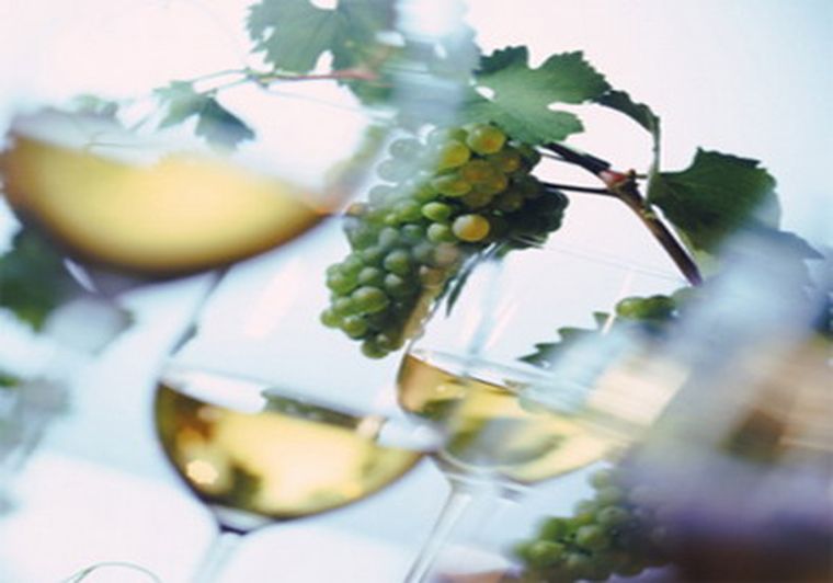 Sigue la polémica por las bebidas alcohólicas.