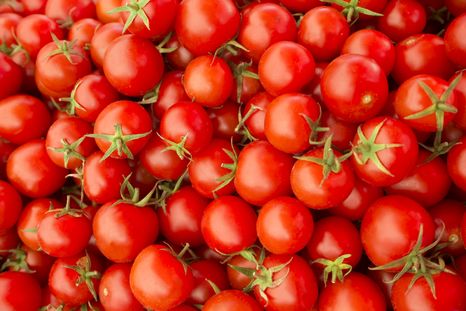 Tomates Tomates