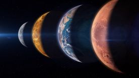 Foto: Shutterstock Foto: Shutterstock