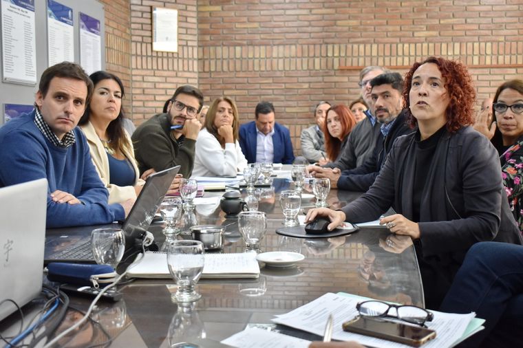 La titular del EPRE en la reunión de comisiones ante legisladores provinciales Foto: Legislatura de Mendoza