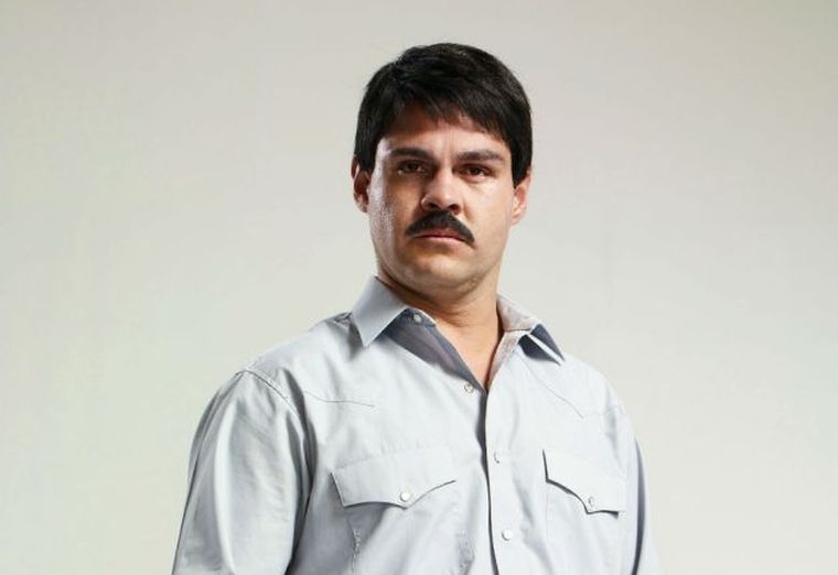 796317.jpg