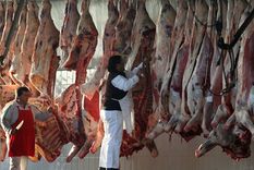 El tradicional sistema de comercialización por medias reses dejará paso a la venta por troceo, que involucra piezas de hasta 32 kilos. Foto: Pachy Reynoso / MDZ