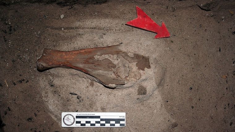 Foto: Juan Pablo Carbonelli