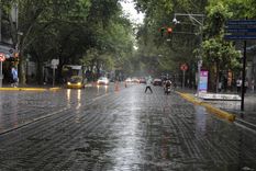 Foto: Alf Ponce/MDZ