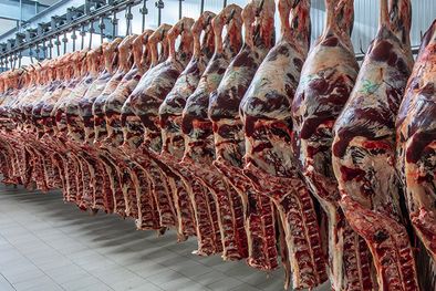 MDZol | Las exportaciones de carne vacuna pueden terminar el año por encima de los US$ 3500 millones, más de 30% por encima del año anterior. Foto: Télam