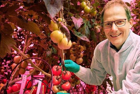 El profesor Leo Marcelis, científico neerlandés, es jefe del grupo de Horticultura y Fisiología de Plantas en la Universidad de Wageningen. El profesor Leo Marcelis, científico neerlandés, es jefe del grupo de Horticultura y Fisiología de Plantas en la Universidad de Wageningen.