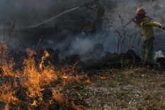 Los incendios ya afectaron el 10% de la superficie de la provincia de Corrientes Foto: TELAM