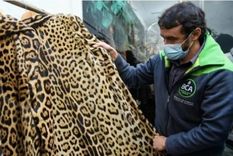 Los abrigos tenían costos elevados