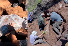 El miércoles, personal del Museo Antonio Serrano de Paraná logró extraer los restos del gliptodonte hallado en Entre Ríos.