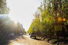 Foto: Santiago Tagua/MDZ Foto: Santiago Tagua/MDZ