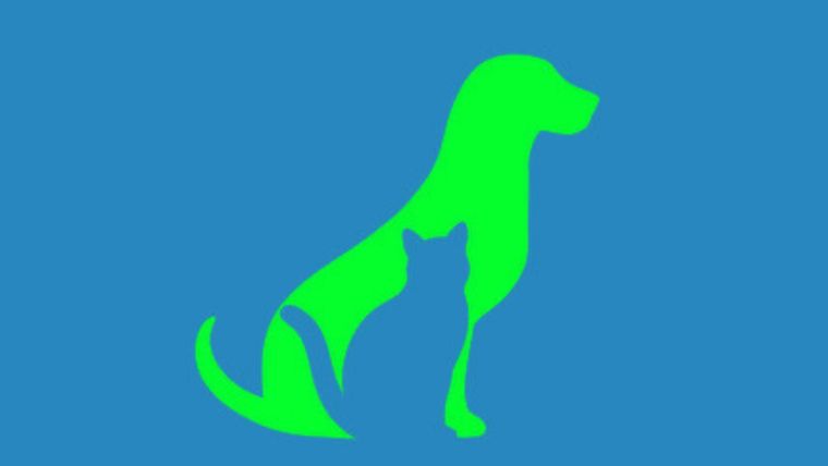 Test de personalidad