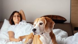 Foto: El confidencial