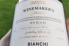 Vinos: el nuevo Syrah argentino que rompe esquemas