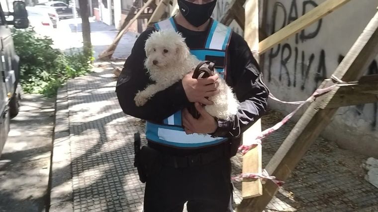 Las dos personas involucradas fueron imputadas. Foto: NA