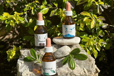 MDZol | flores de bach nicole papazian (2)