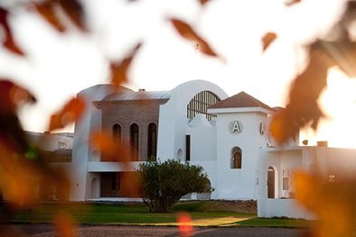 MDZol | Lideres en producción de vinos orgánicos Foto: Bodega Argento